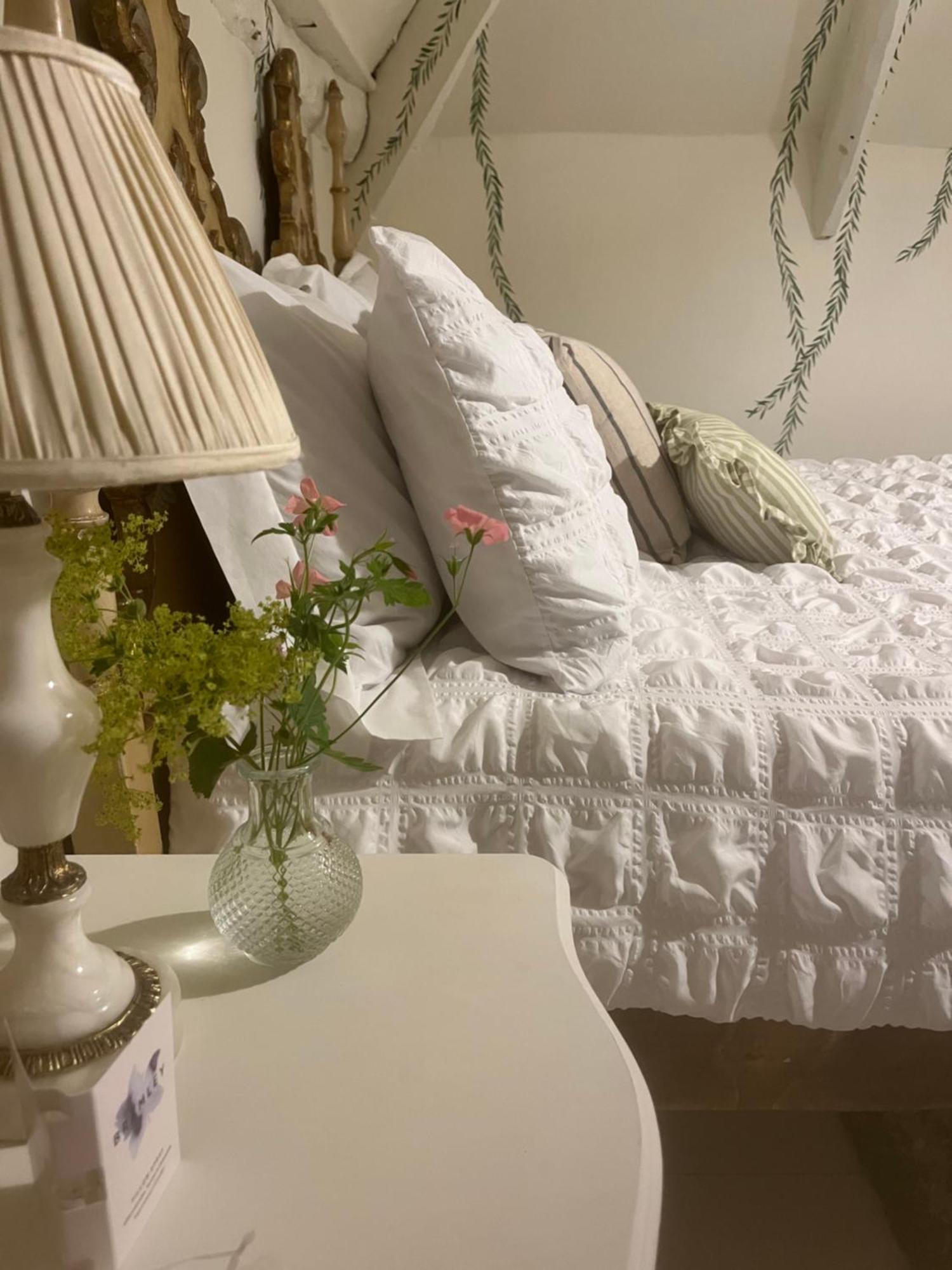 Bowlish House Bed & Breakfast เชพตันมัลเล็ต ภายนอก รูปภาพ